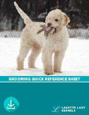 Lagotto Grooming Quick Reference