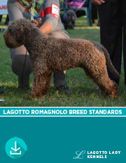 Lagotto Romagnolo Breed Standards