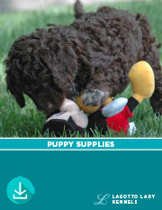 Puppy Supplies to help you prepare