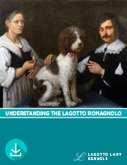 Understanding-the-Lagotto