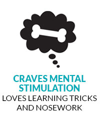 icon-Mental-Stimulation